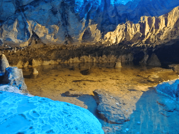 DSC_7012.png DSC_7012.png