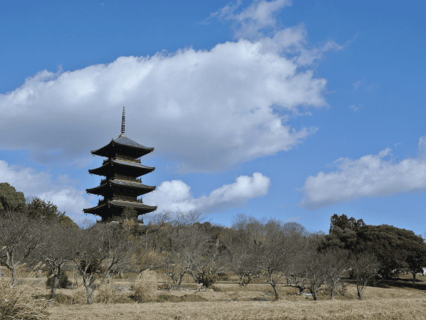 DSC_6115.png DSC_6115.png