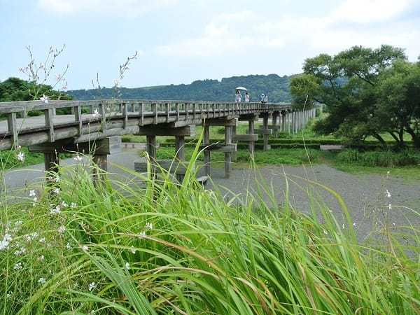 DSC_4359.jpg DSC_4359.jpg