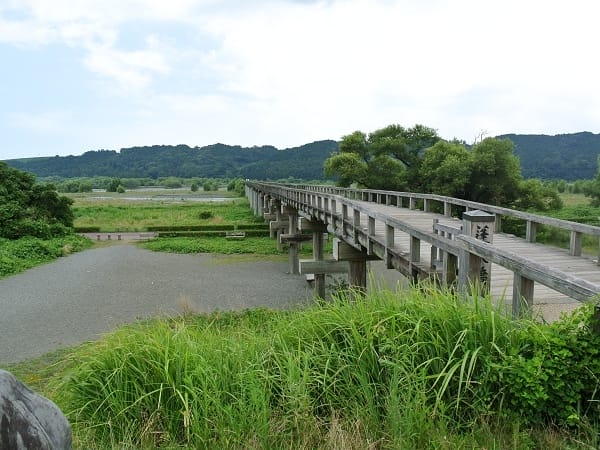 DSC_4303.jpg DSC_4303.jpg