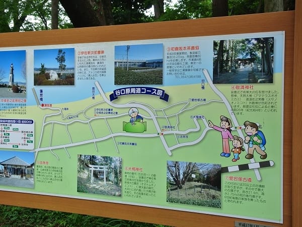 DSC_4333.jpg DSC_4333.jpg