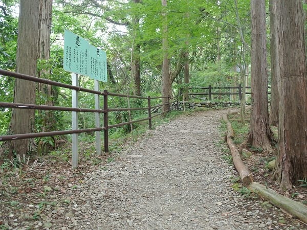 DSC_4341.jpg DSC_4341.jpg