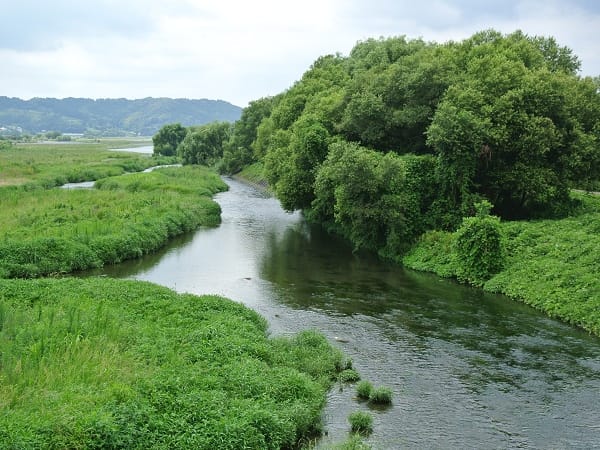 DSC_4319.jpg DSC_4319.jpg