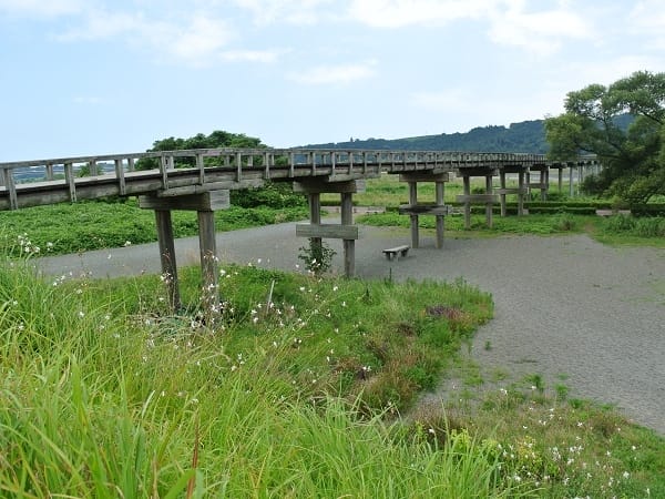 DSC_4307.jpg DSC_4307.jpg