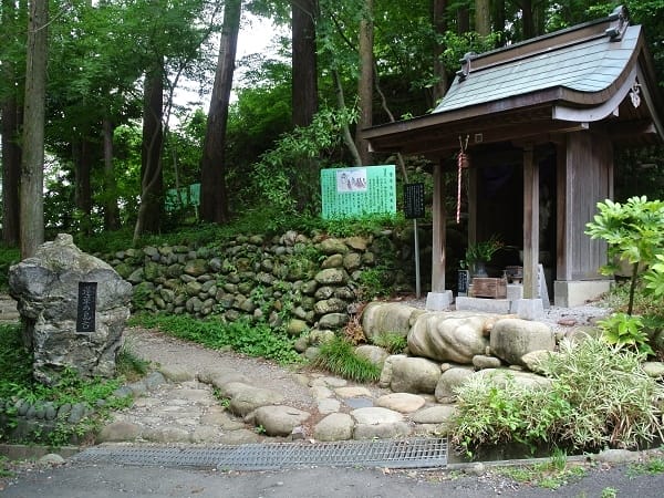 DSC_4332.jpg DSC_4332.jpg