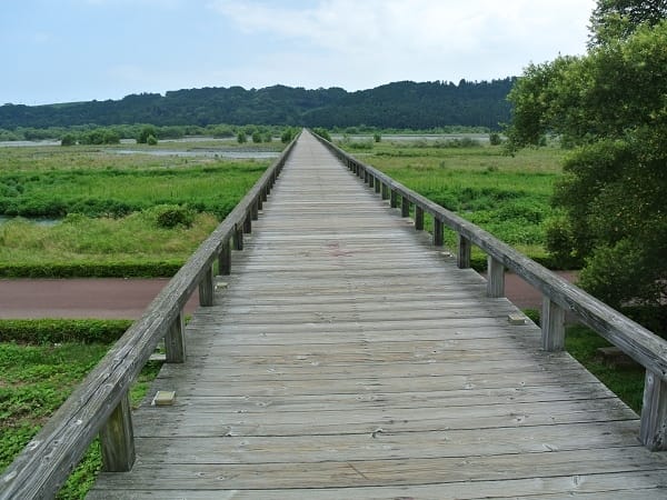 DSC_4313.jpg DSC_4313.jpg