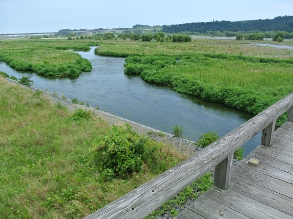 DSC_4315.jpg DSC_4315.jpg