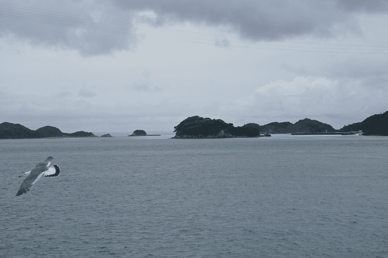 /tmp/phpKSdUtW /tmp/phpKSdUtW