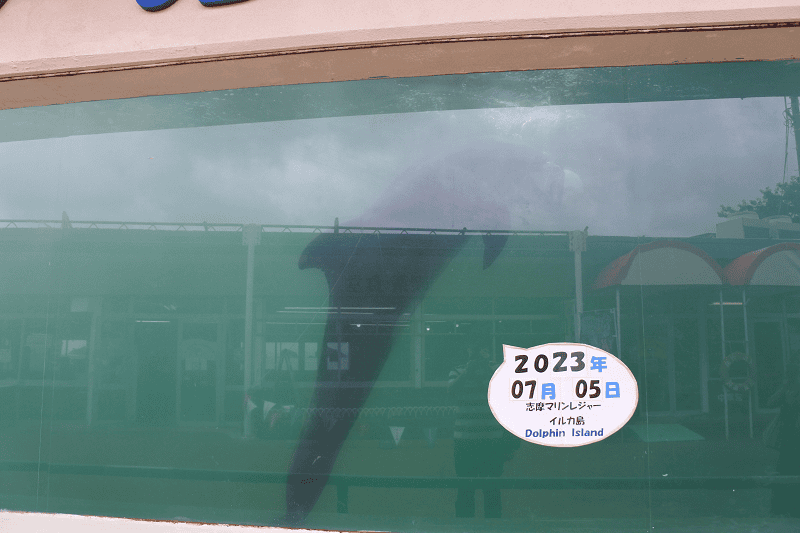 DSC_8711.png DSC_8711.png