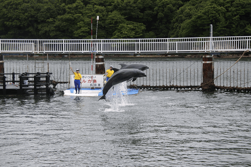 DSC_8753.png DSC_8753.png