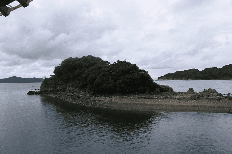 DSC_8765.png DSC_8765.png