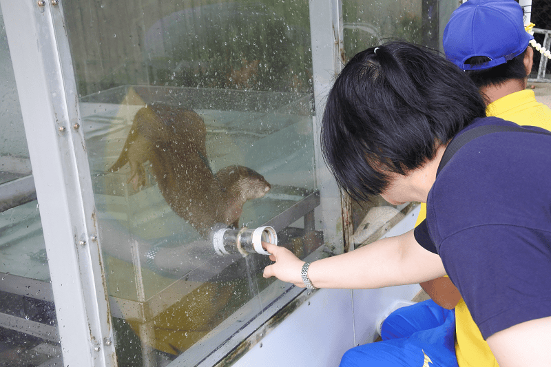 DSC_8732.png DSC_8732.png