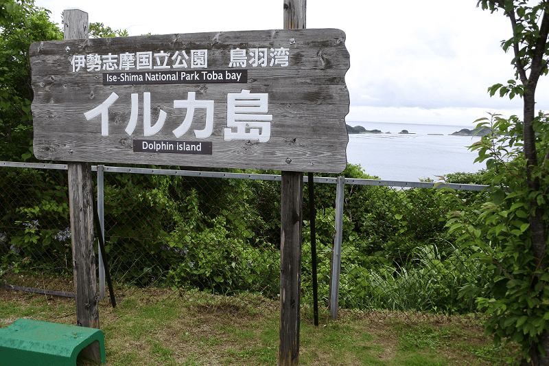 DSC_8727.png DSC_8727.png