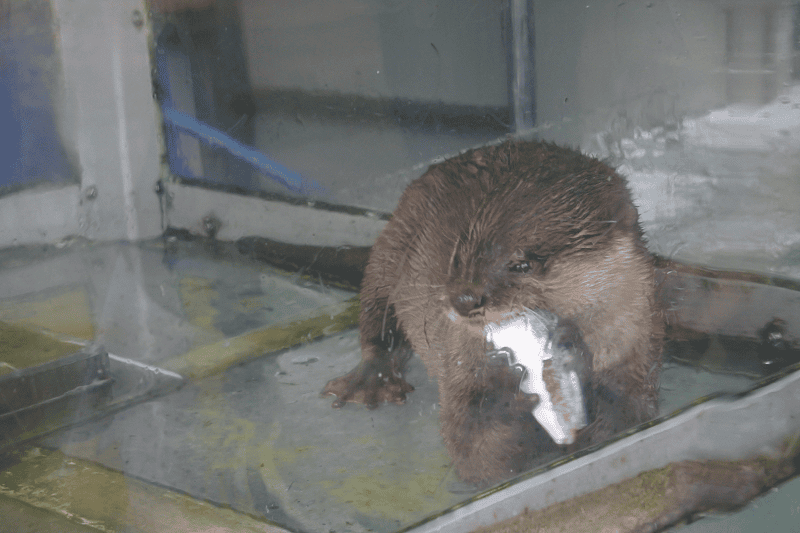 DSC_8735.png DSC_8735.png