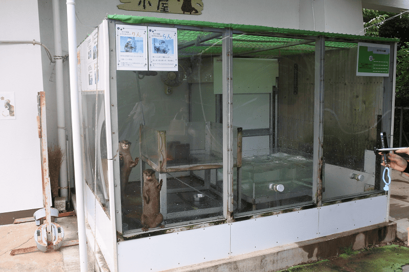 DSC_8729.png DSC_8729.png