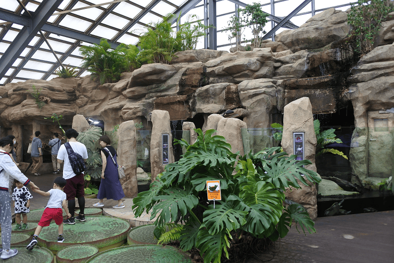 DSC_8832.png DSC_8832.png