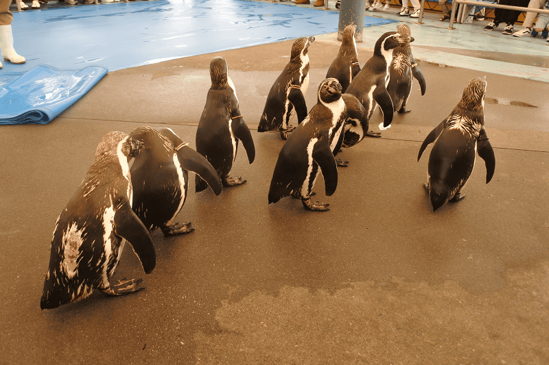 DSC_8807.png DSC_8807.png