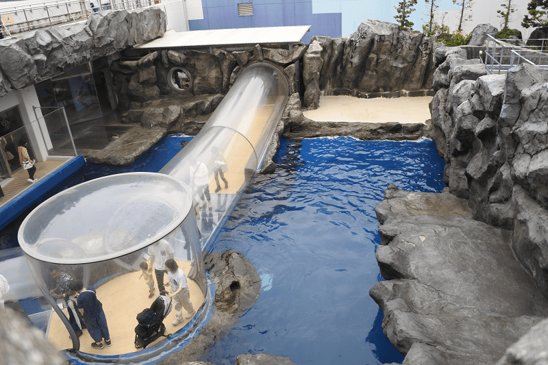 DSC_8919.png DSC_8919.png