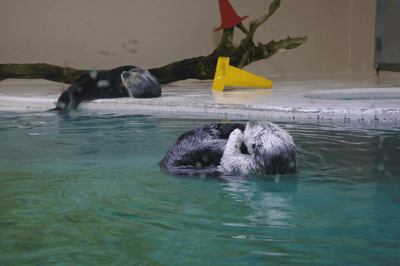 DSC_8886.png DSC_8886.png