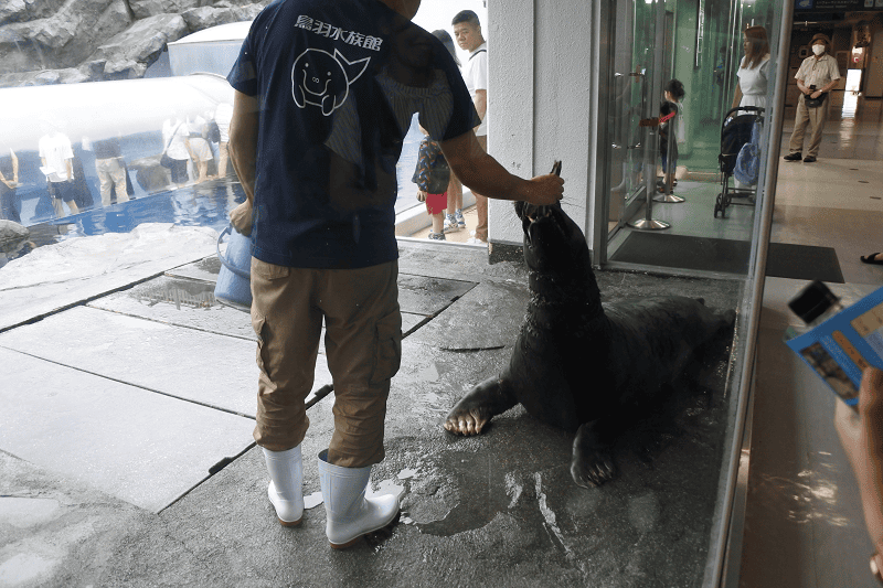 DSC_8913.png DSC_8913.png