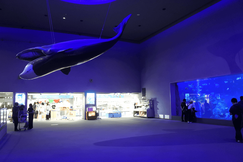 DSC_8899.png DSC_8899.png