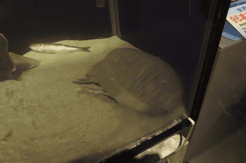 DSC_8821.png DSC_8821.png