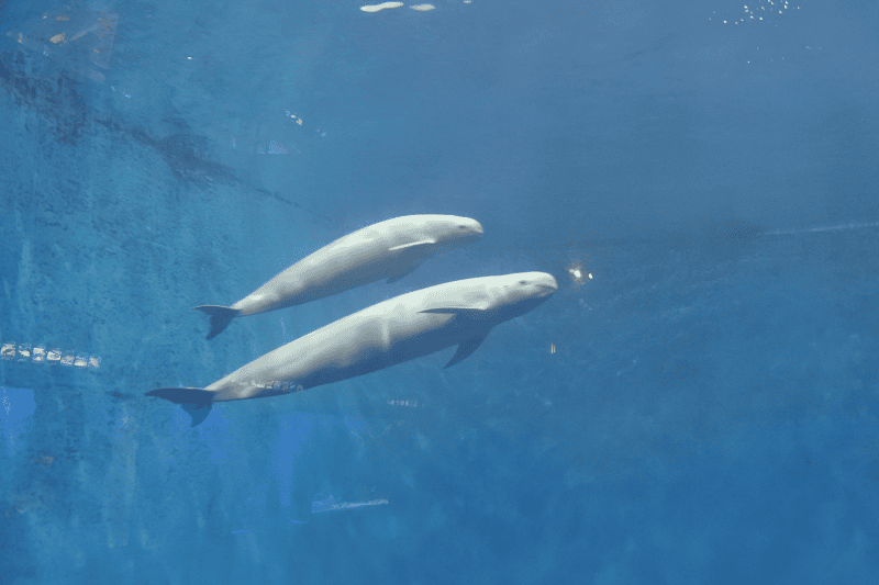 DSC_8902.png DSC_8902.png