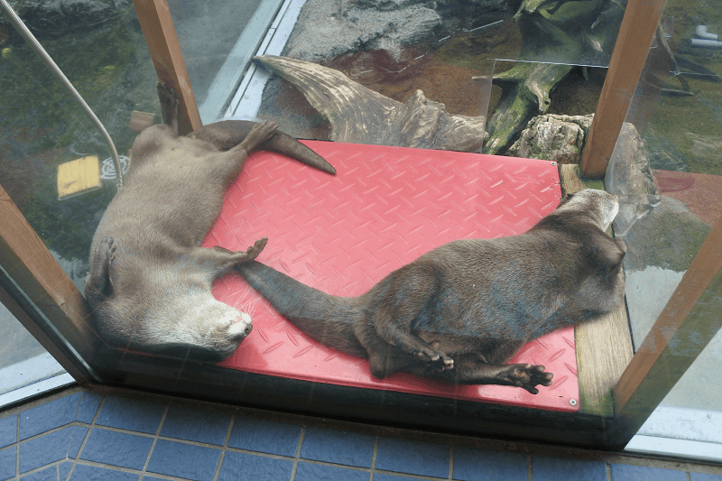 DSC_8815.png DSC_8815.png