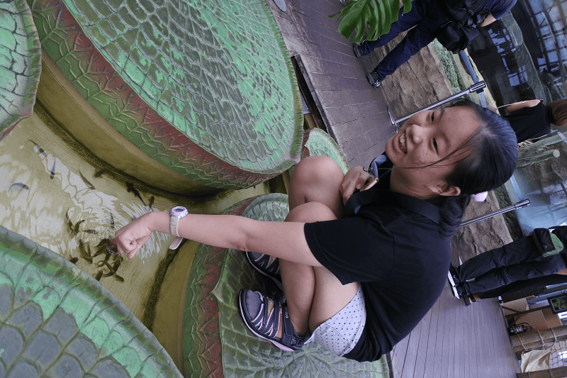 DSC_8836.png DSC_8836.png