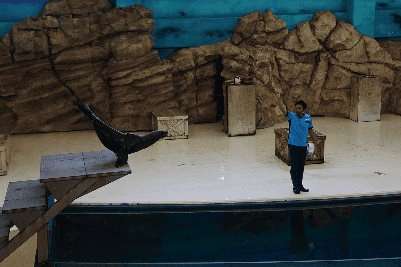 DSC_8785.png DSC_8785.png