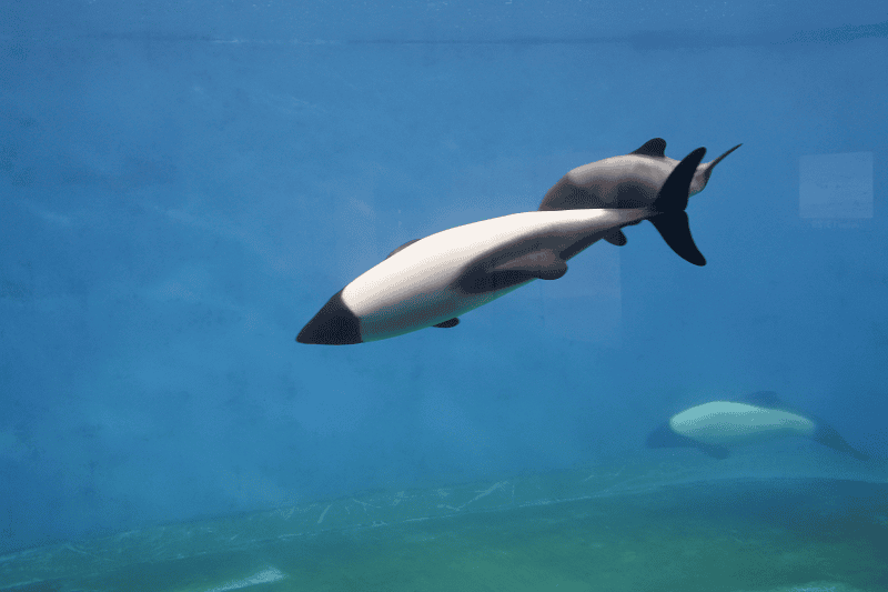 DSC_8864.png DSC_8864.png