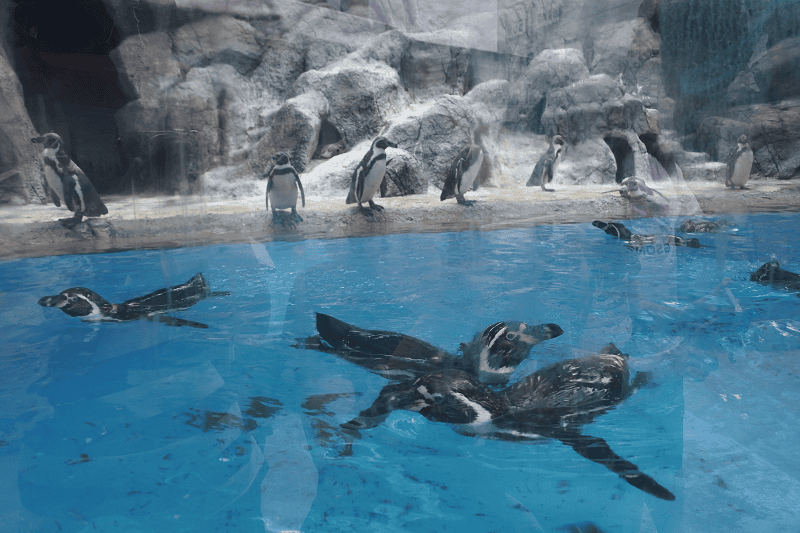 DSC_8810.png DSC_8810.png