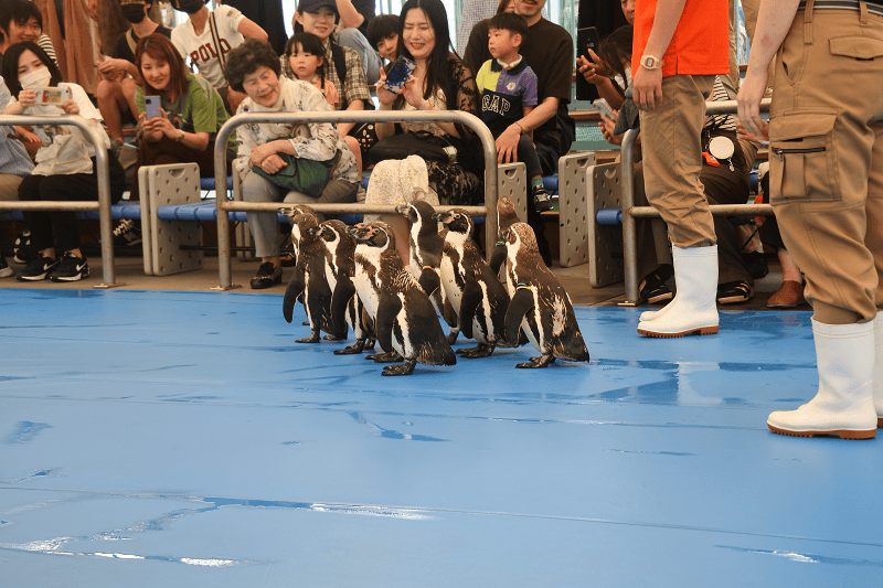 DSC_8800.png DSC_8800.png