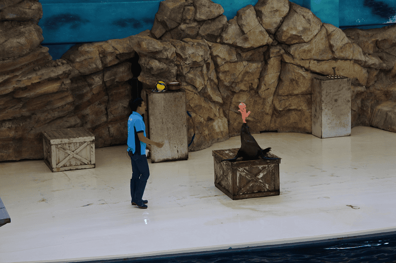 DSC_8788.png DSC_8788.png