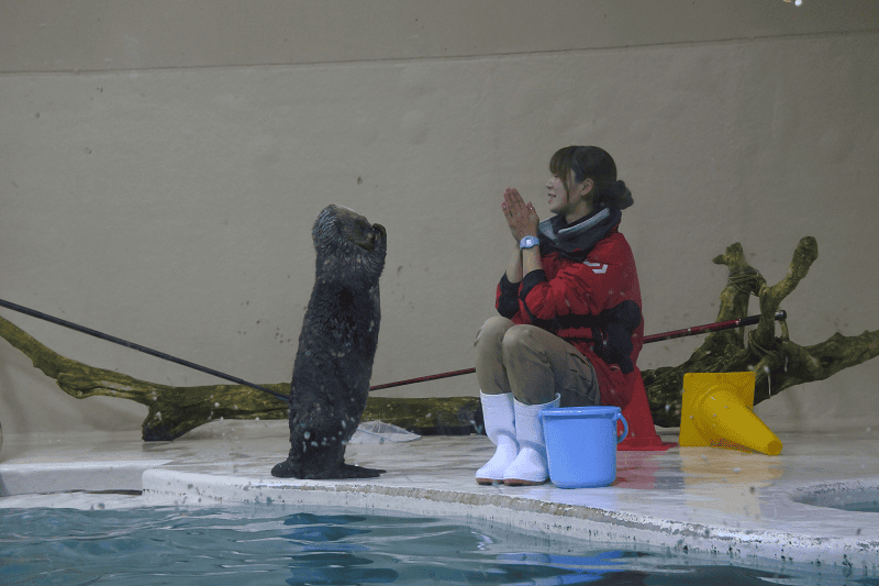 DSC_8860.png DSC_8860.png