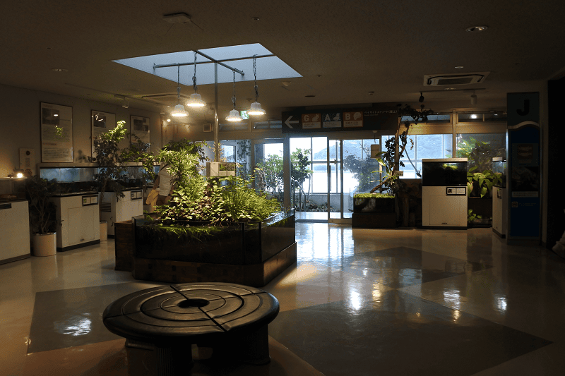 DSC_8827.png DSC_8827.png