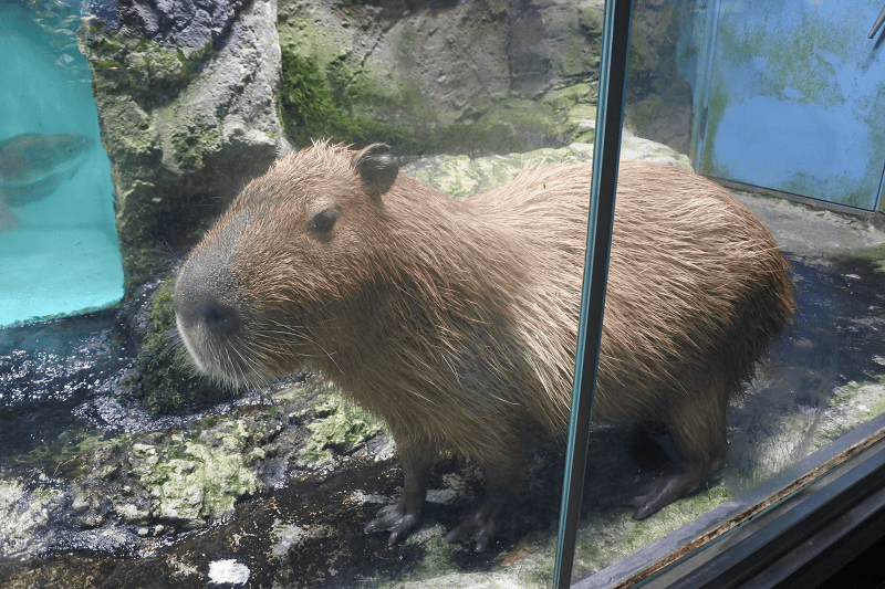 DSC_8890.png DSC_8890.png