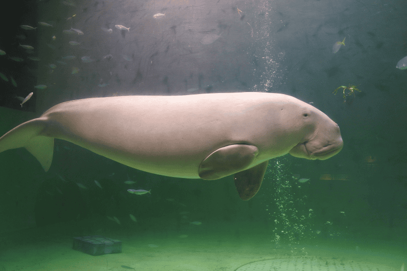 DSC_8882.png DSC_8882.png