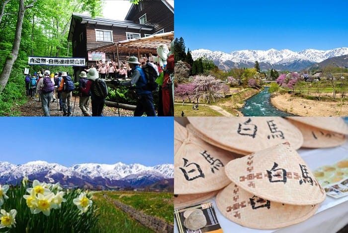 【優惠車票】信濃路フリーきっぷ從名古屋前往松本、長野、安曇