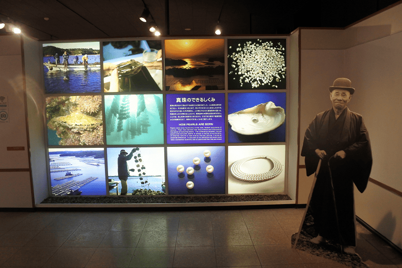 DSC_8935.png DSC_8935.png