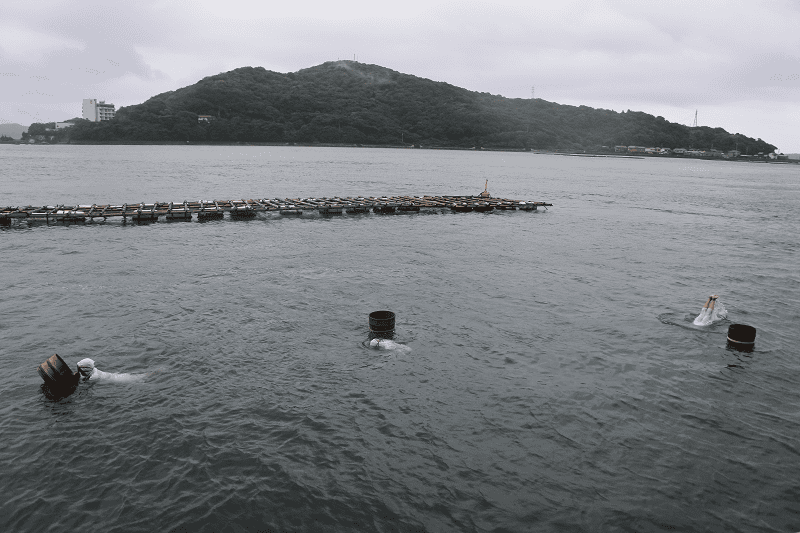 DSC_8967.png DSC_8967.png