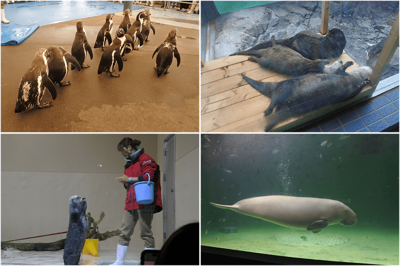 【參考行程】愛知三重7日遊規劃行程懶人包~景點/交通/住宿/美食介紹~