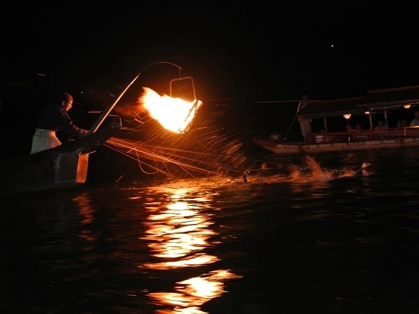 DSC_0564.jpg DSC_0564.jpg