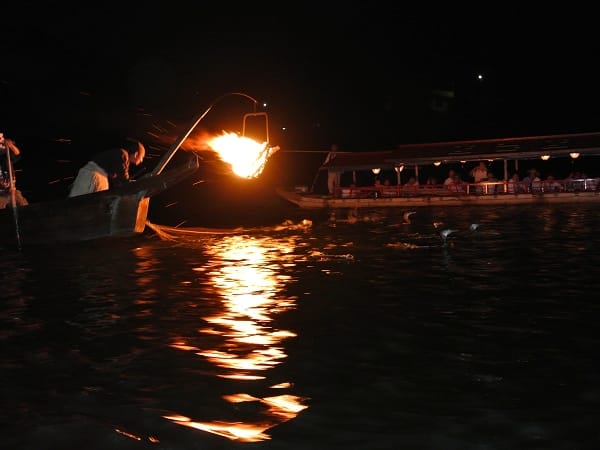 DSC_0572.jpg DSC_0572.jpg