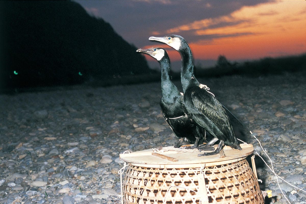 /tmp/phpI7U0Qv /tmp/phpI7U0Qv