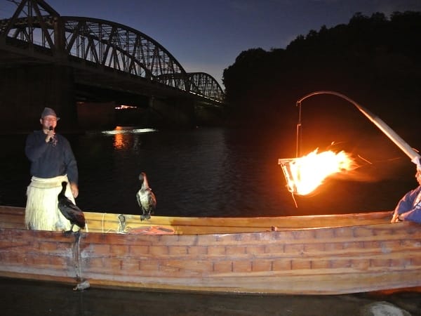 DSC_0533.jpg DSC_0533.jpg