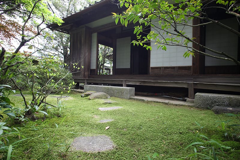 中庭_800 中庭_800