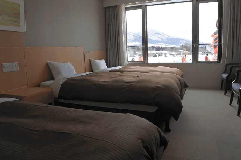 【岡山|蒜山高原】休暇村~戶外有可以玩雪的SNOW PARK、晚餐有蟹腳吃到飽~