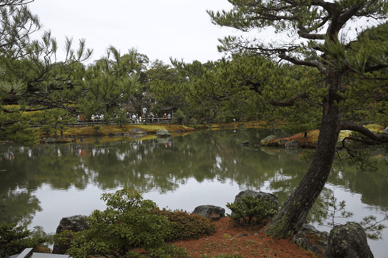 DSC_0486.png DSC_0486.png