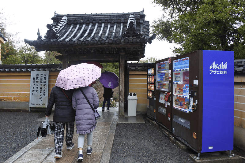 DSC_0500.png DSC_0500.png